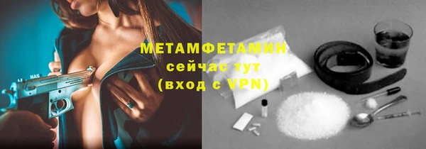 индика Абаза