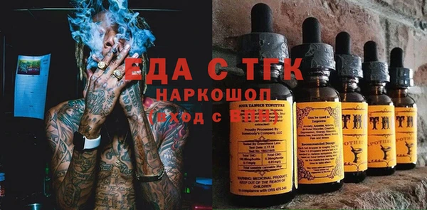 индика Абаза