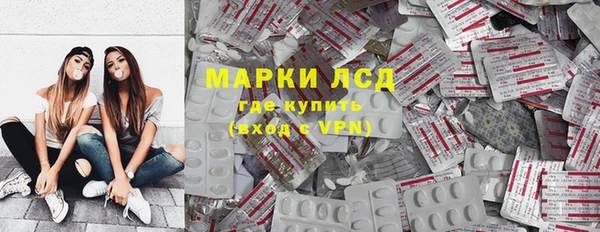 индика Абаза
