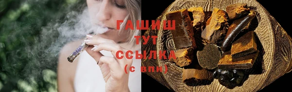 индика Абаза