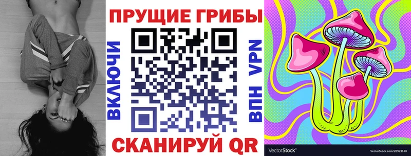 цены наркотик  Кострома  Галлюциногенные грибы Psilocybine cubensis 