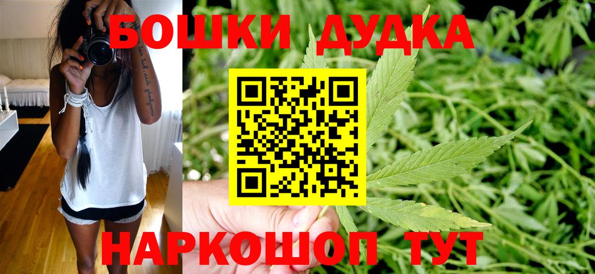 Конопля планчик Кострома